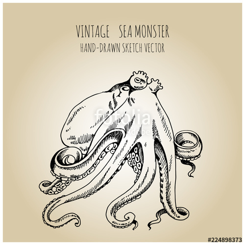 500x500 Hand Drawn Sea Monster - Giant Octopus Sketch