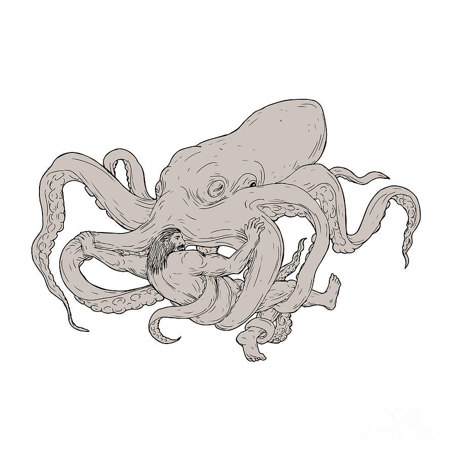 900x900 Hercules Fighting Giant Octopus Drawing Digital Art By Aloysius - Giant Octopus Sketch