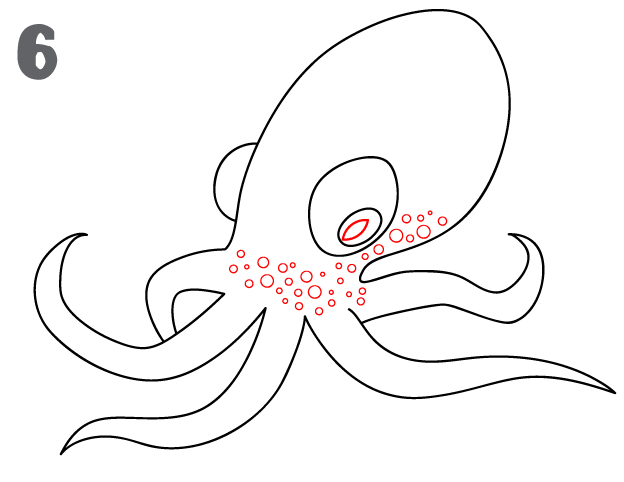 624x482 How To Draw An Octopus - Giant Octopus Sketch