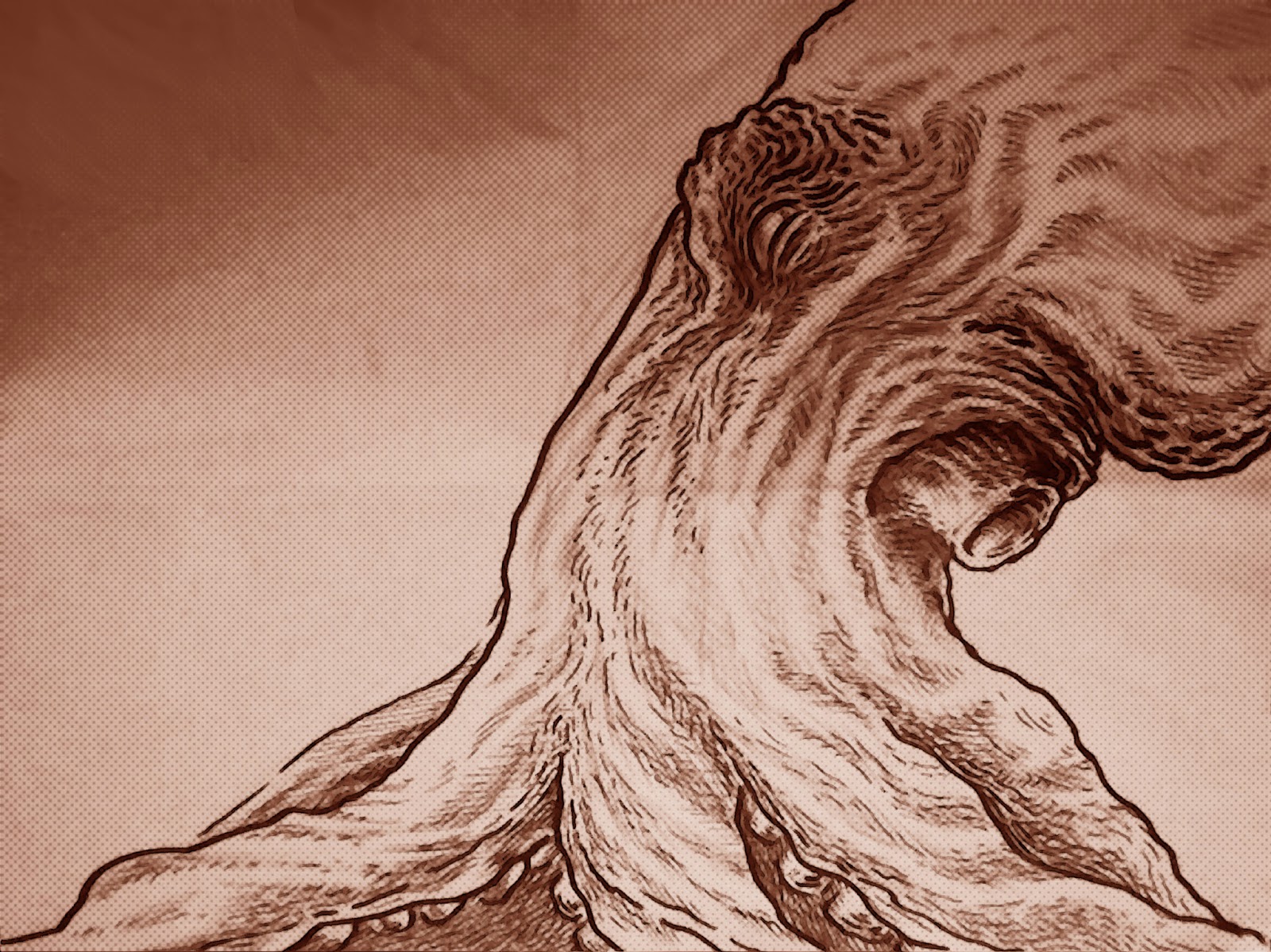 1600x1198 Water Closet Press Blog Sapient Cephalopod Sketch - Giant Octopus Sketch