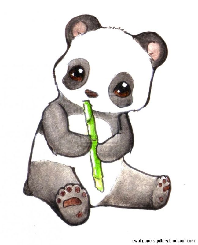 648x800 Giant Panda Drawing Cute - Giant Panda Sketch