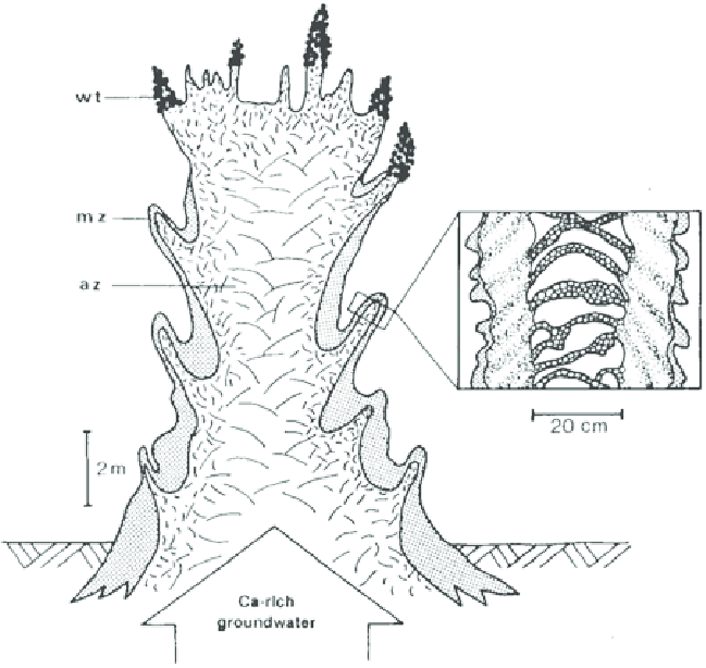649x614 Lake Van, Cross Section Sketch Of A Giant Sublacustrine Tufa Tower - Giant Sketch