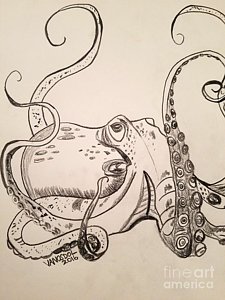 225x300 Giant Squid Drawings Fine Art America - Giant Squid Sketch