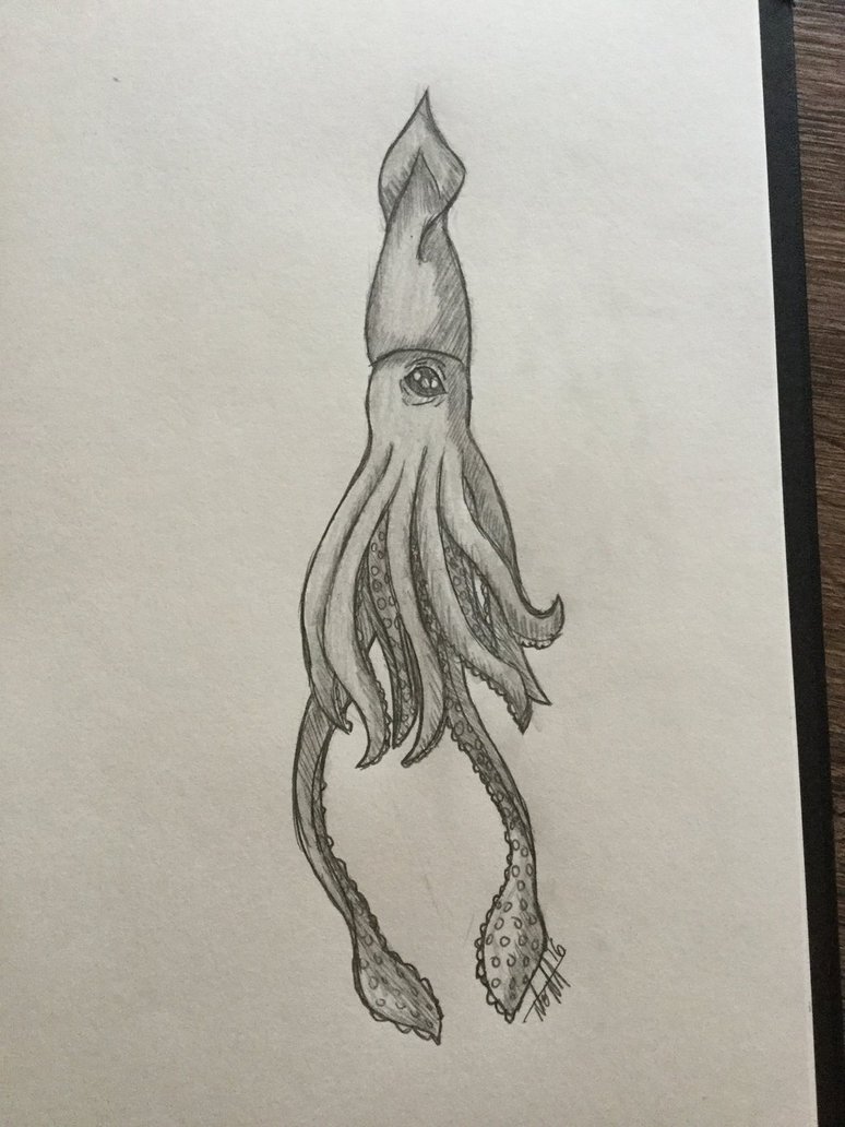 774x1032 Giant Squid By Cola Power - Giant Squid Sketch