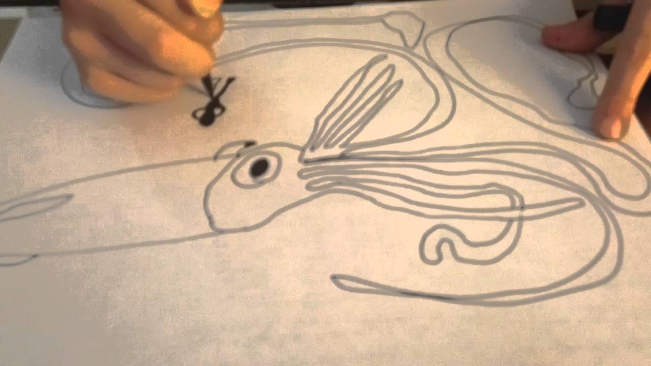 1280x720 Howto Sketch A Giant Squid - Giant Squid Sketch