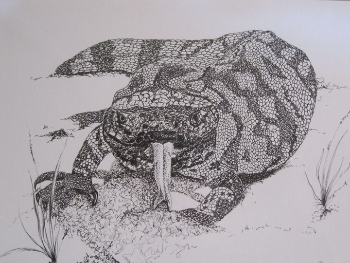 720x540 Gila Monster - Gila Monster Sketch
