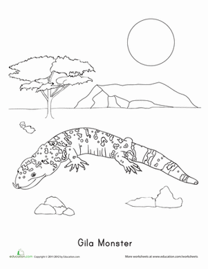 301x389 Gila Monster Worksheet - Gila Monster Sketch