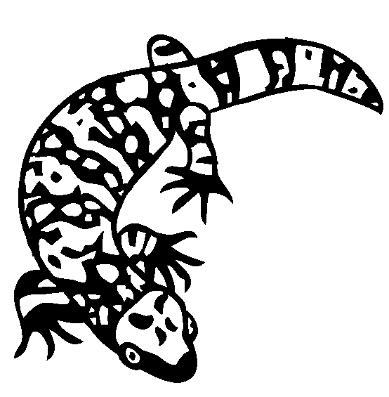 554x565 Gila Monster Coloring Page - Gila Monster Sketch
