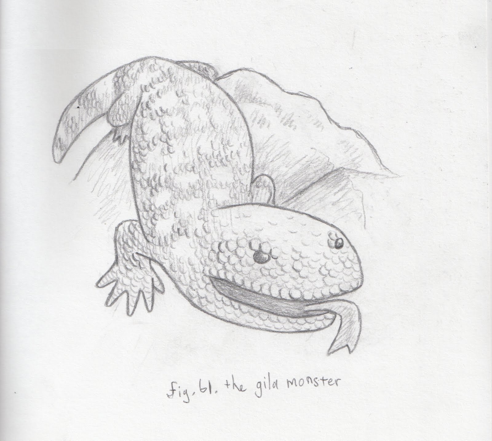 Gila Monster Sketch at PaintingValley.com | Explore collection of Gila ...