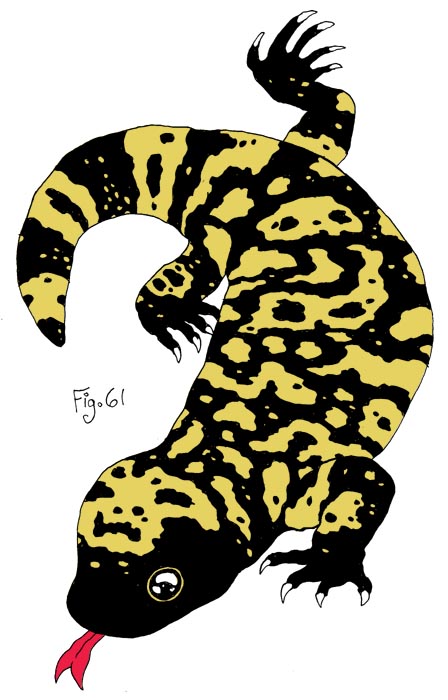 448x700 Robotic Arms Press Prints An Shit By Nick Francel Gila Monster - Gila Monster Sketch