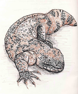 265x320 Sabino Canyon April 2009 - Gila Monster Sketch