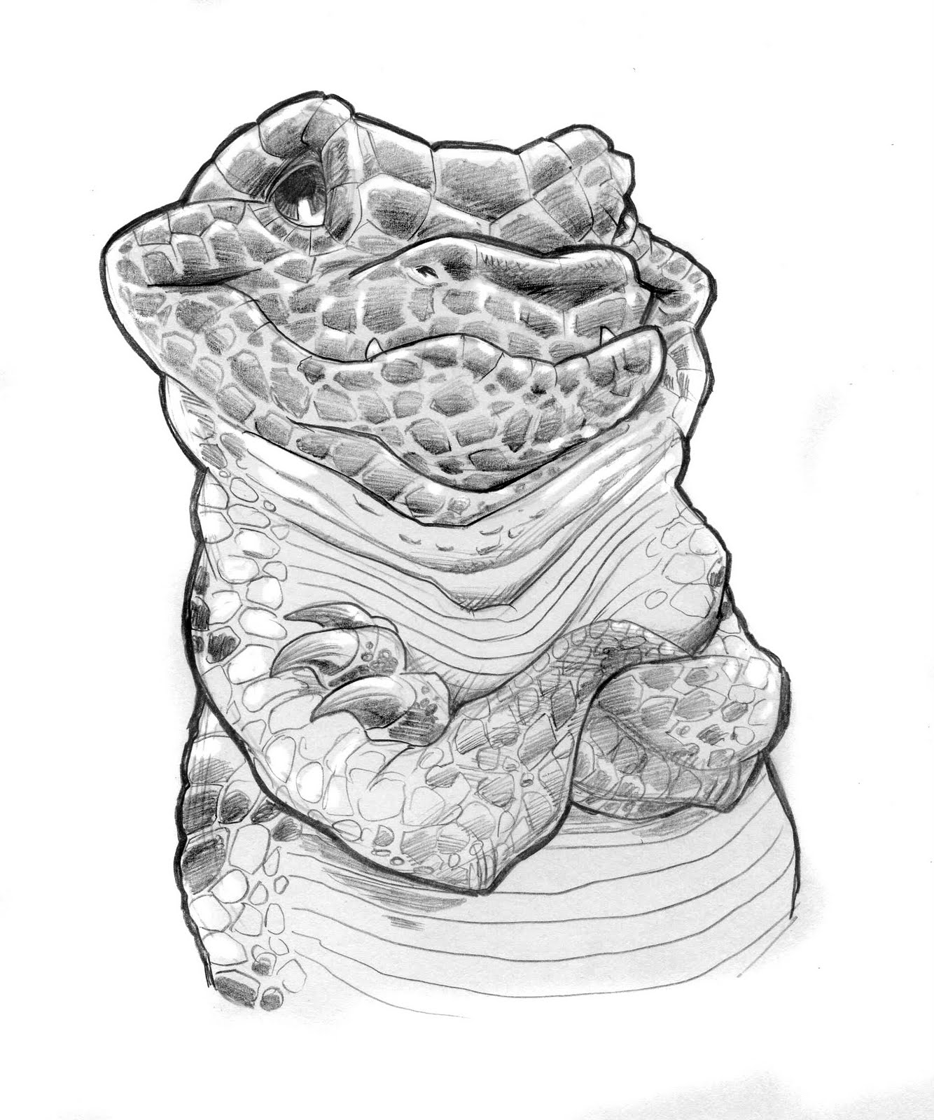 1334x1600 The Art Of Jeff West Hector The Gila Monster - Gila Monster Sketch