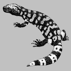 236x235 Gila Monster See My Art Gila Monster, Reptiles And - Gila Monster Sketch