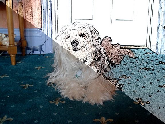 576x433 Pencil Sketch Gimp - Gimp Sketch Effect