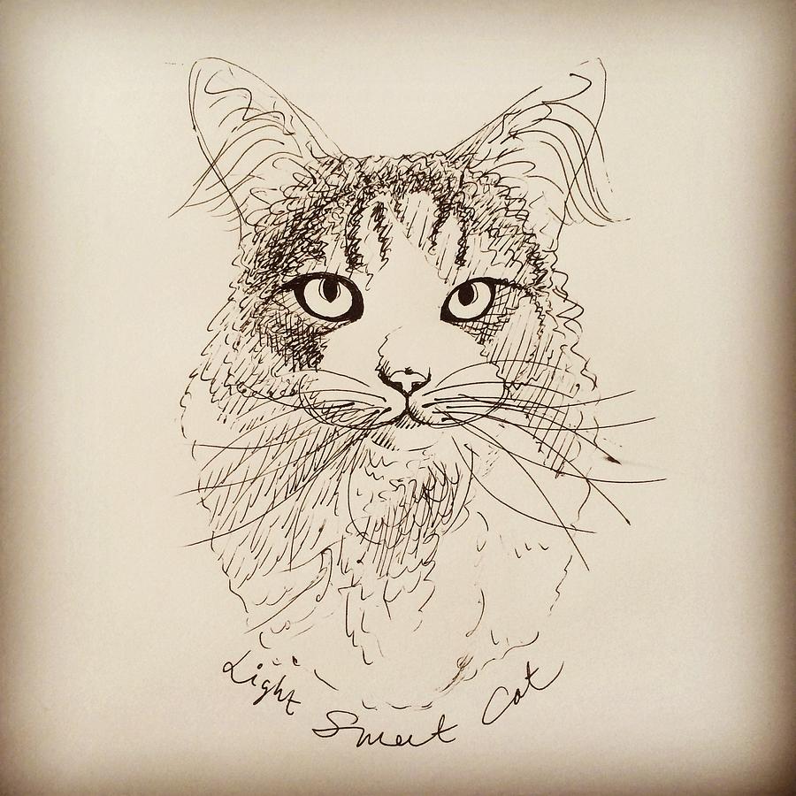 900x900 Ginger Drawing By Pookie Pet Portraits - Ginger Sketch