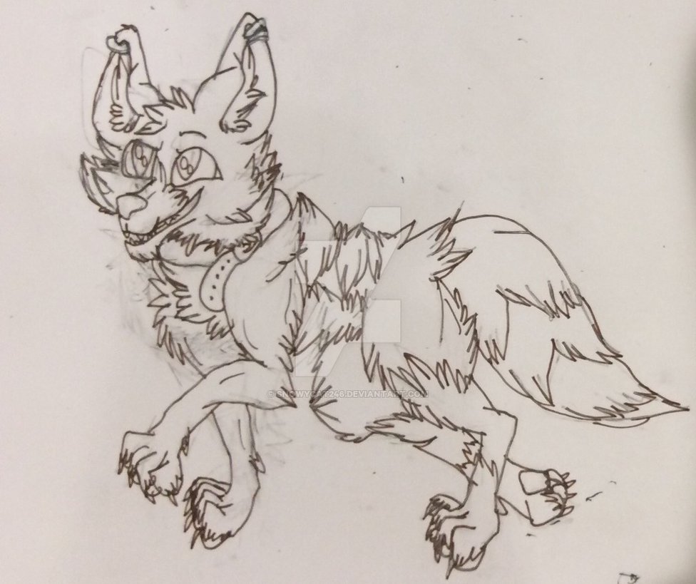 976x819 Sketch Request - Ginger Sketch