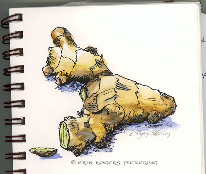 682x576 The Gluten Free Illustrator Daily Drawing - Ginger Sketch