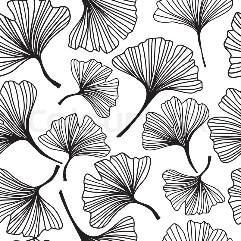 800x800 Seamless Decorative Flower Background With Ginkgo Biloba Stock - Ginkgo Leaf Sketch