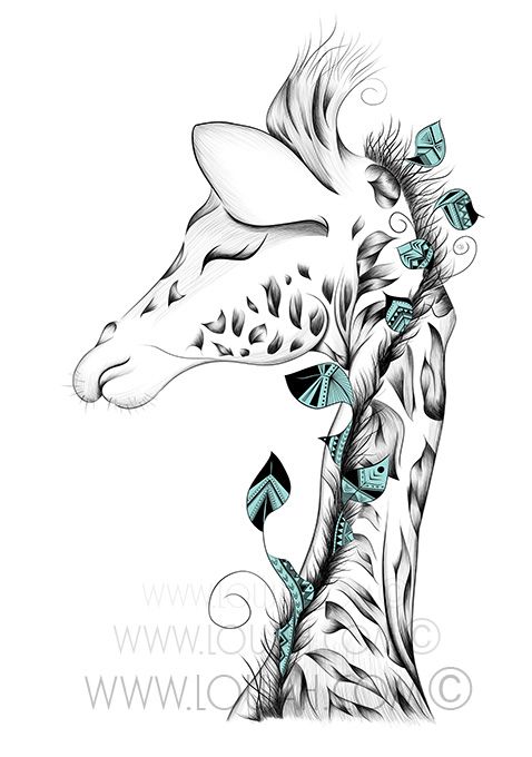 478x680 Drawn Giraffe Family Drawing - Giraffe Cartoon Sketch