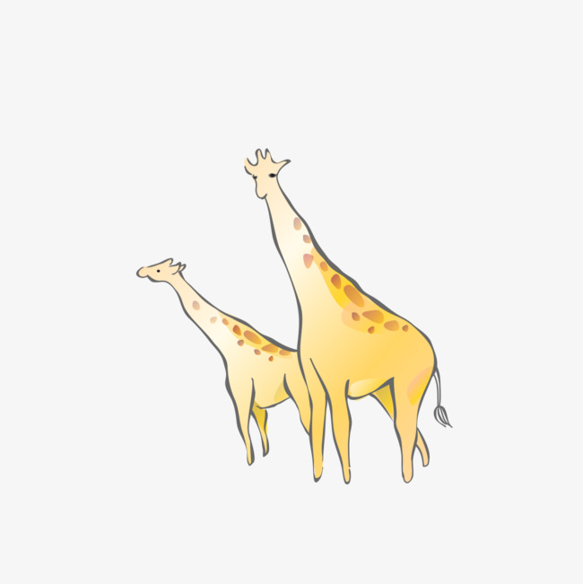 650x651 Giraffe Cartoon, Cartoon Clipart, Giraffe, Cartoon Png And Psd - Giraffe Cartoon Sketch