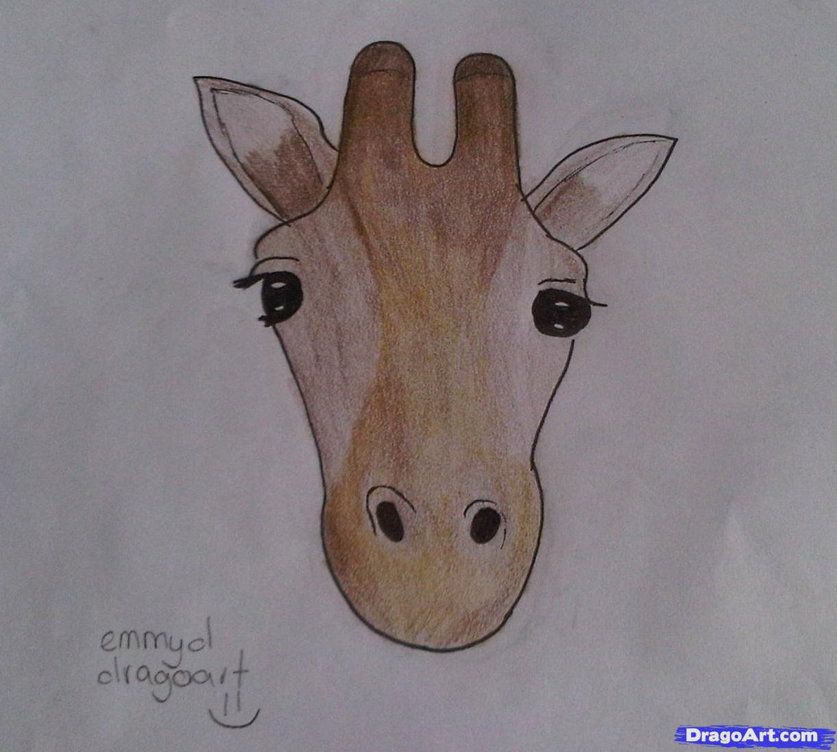1221x1097 Giraffe Face Drawing How To Draw A Giraffe Face In Front View - Giraffe Face Sketch