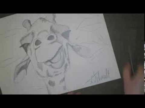 480x360 Draw A Giraffe - Giraffe Face Sketch