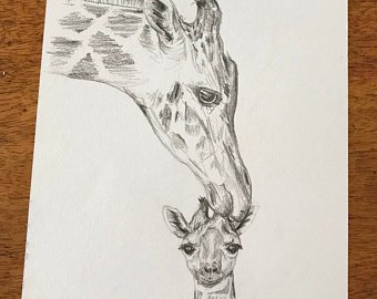 340x270 Giraffe Drawing Etsy - Giraffe Head Sketch