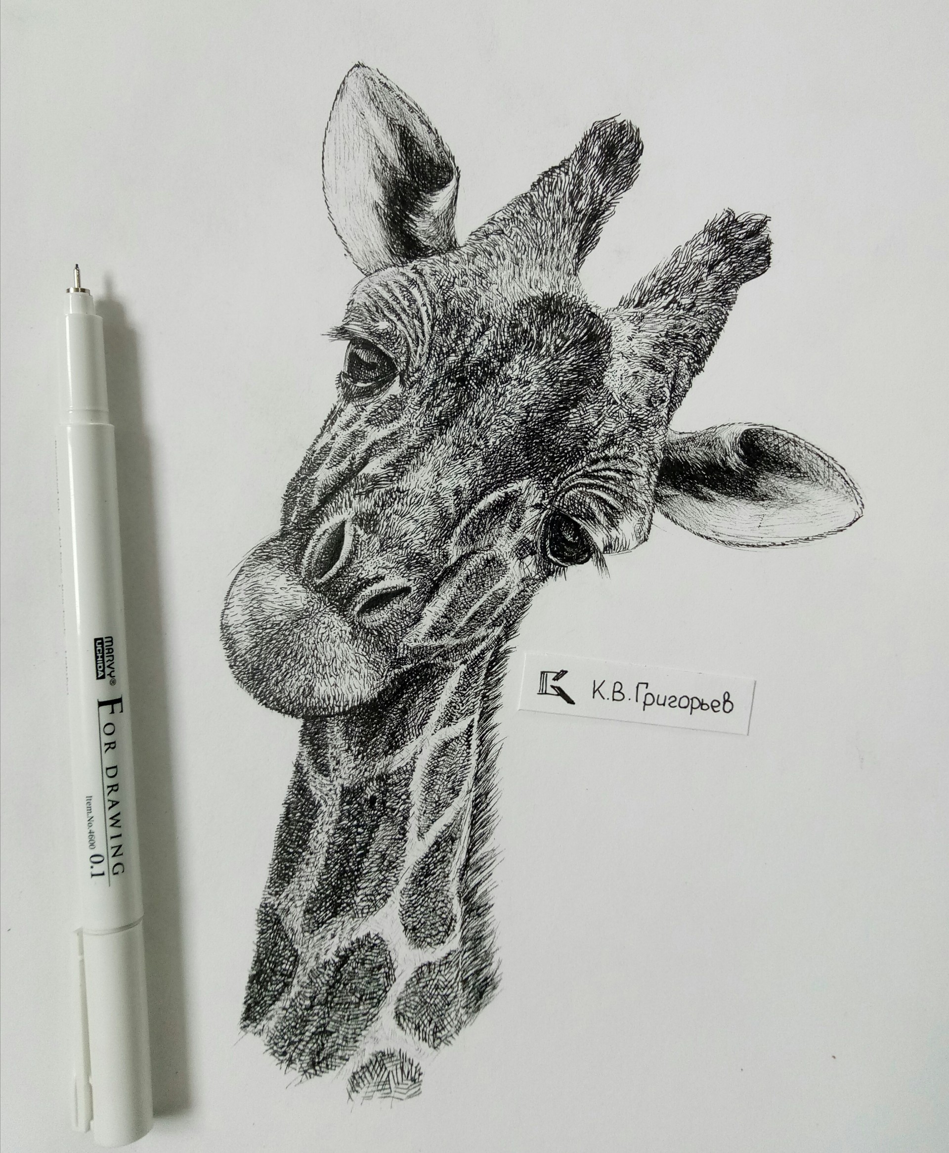 1920x2332 Konstantin Grigoriev - Giraffe Head Sketch
