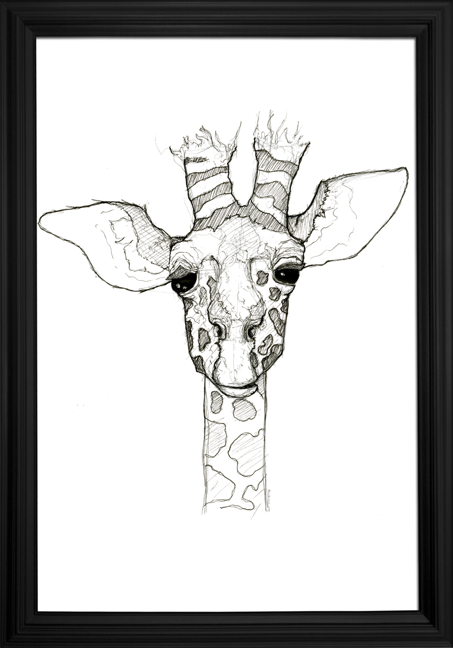 900x1285 The Amazing Giraffe - Giraffe Head Sketch