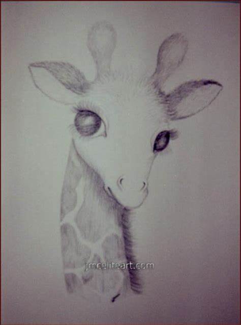 474x638 Baby Giraffe Pencil Drawing. Baby Giraffe Pencil Drawing Baby - Giraffe Pencil Sketch