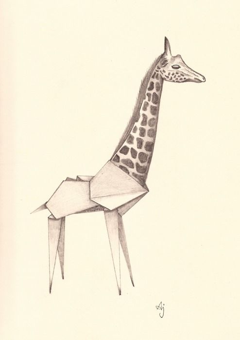 494x699 Drawing,giraffe,origami,origami Giraffe,pencil,sketch - Giraffe Pencil Sketch