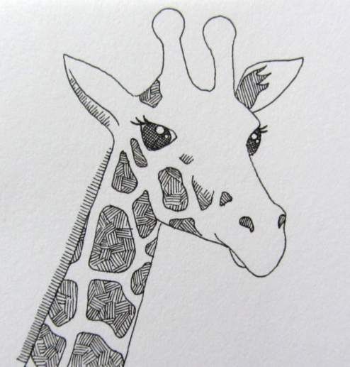 494x517 Line Drawing Of A Giraffe By Clare Willcocks My Sketchbook - Giraffe Sketch