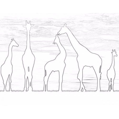 500x500 Giraffe African Sunset Sketch For Canvas Painting - Giraffe Sketch