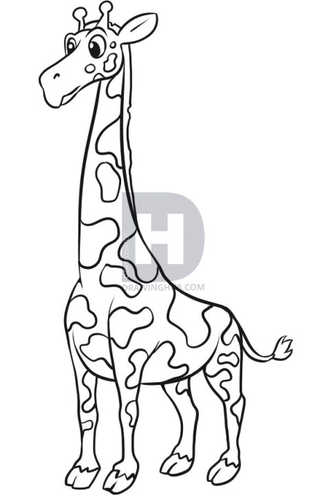 481x720 How To Draw A Simple Giraffe, Step By Step, Drawing Guide, By - Giraffe Sketch Easy