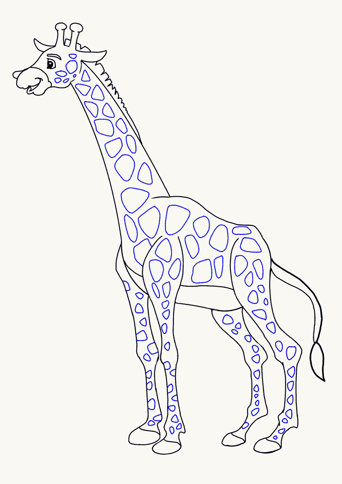 680x962 How To Draw A Giraffe In A Few Easy Steps Easy Drawing Guides - Giraffe Sketch Easy