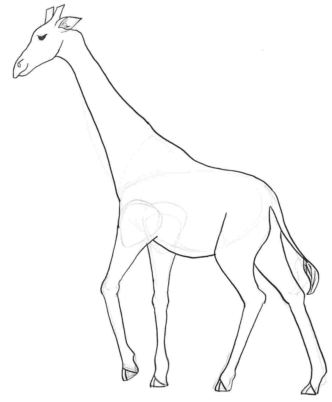 Giraffe Sketch Easy at Explore collection of