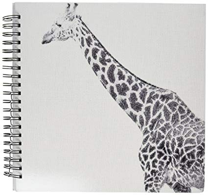 425x398 3drose Db 47701 2 Black And White Giraffe Sketch - Giraffe Sketch Pictures