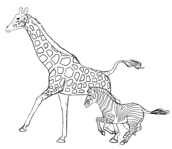 600x518 Giraffe Sketch Drawing Skill - Giraffe Sketch Pictures