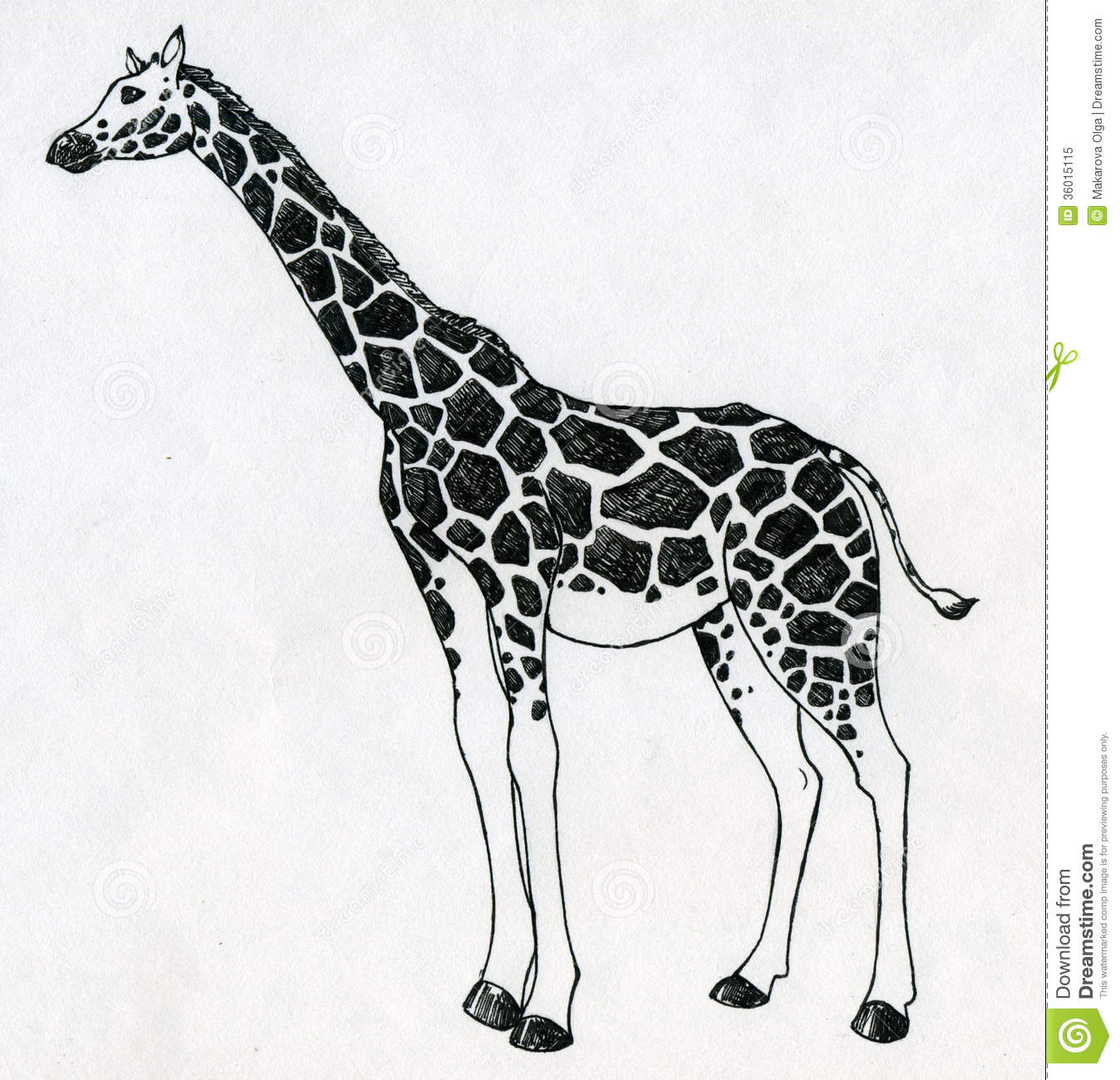1348x1300 Vector Giraffe Lexik465 - Giraffe Sketch Pictures