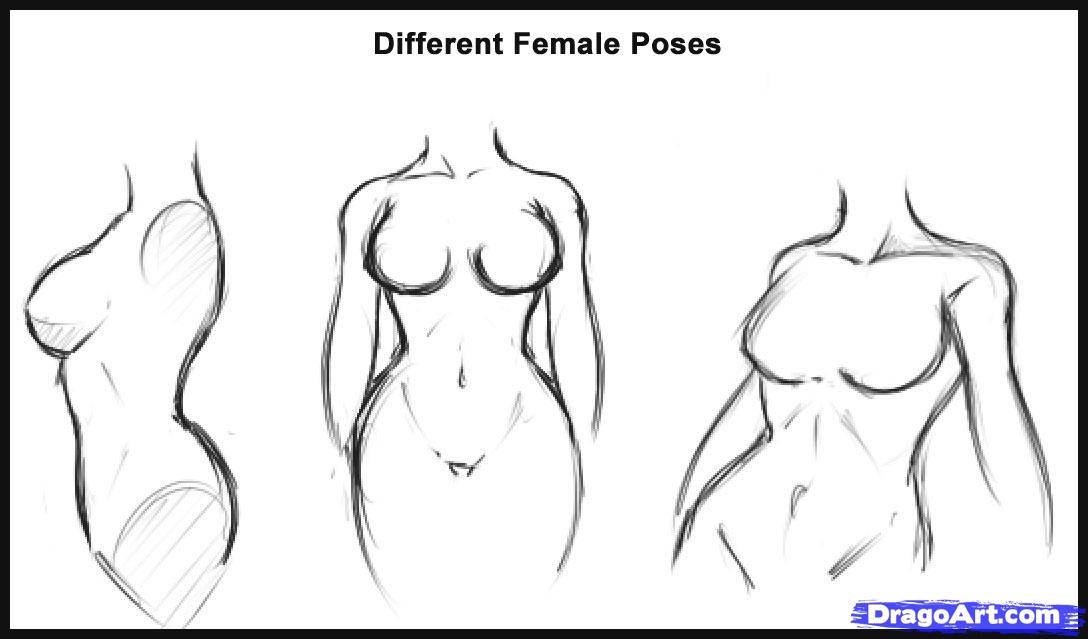 1088x639 Collection Of Easy Girl Body Drawing High Quality, Free - Girl Bod...