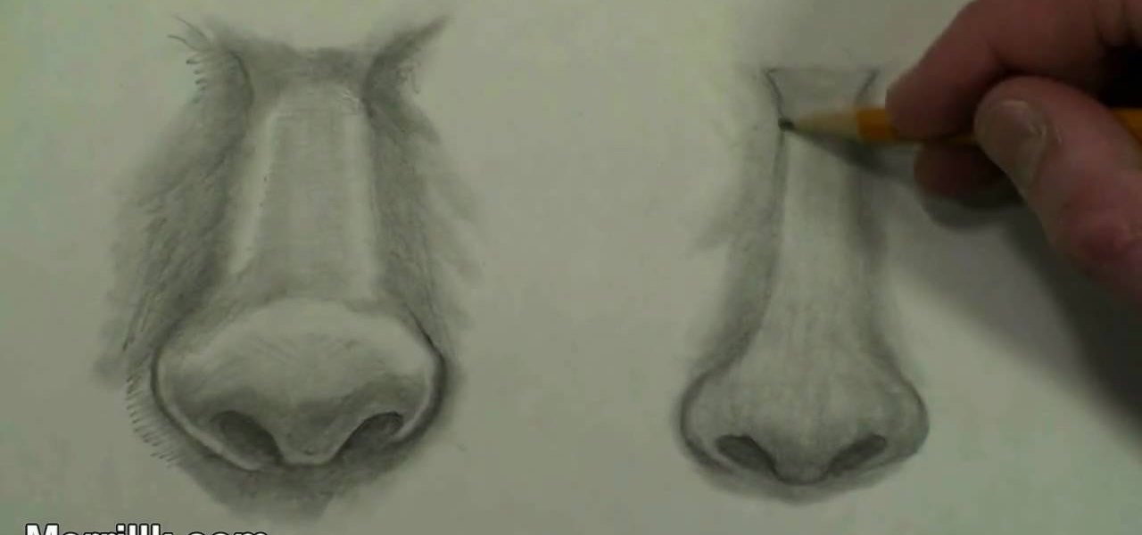1280x600 How To Draw The Female Nose (Step By Step) Drawing - Girl Nose Sketch
