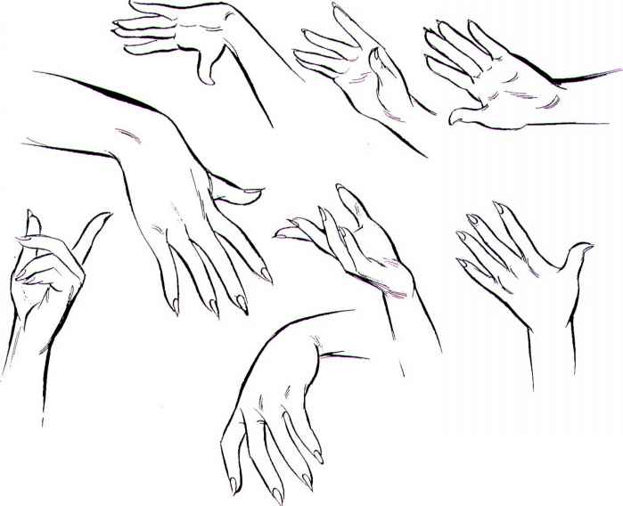 699x568 Female Hand - Girl Poses Sketch