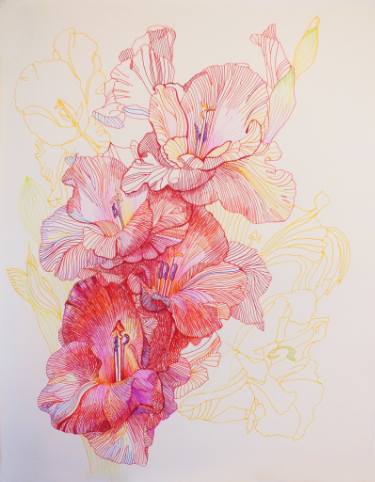375x482 Gladiolus Drawing By Natali Khitrova Saatchi Art - Gladiolus Flower Sketch