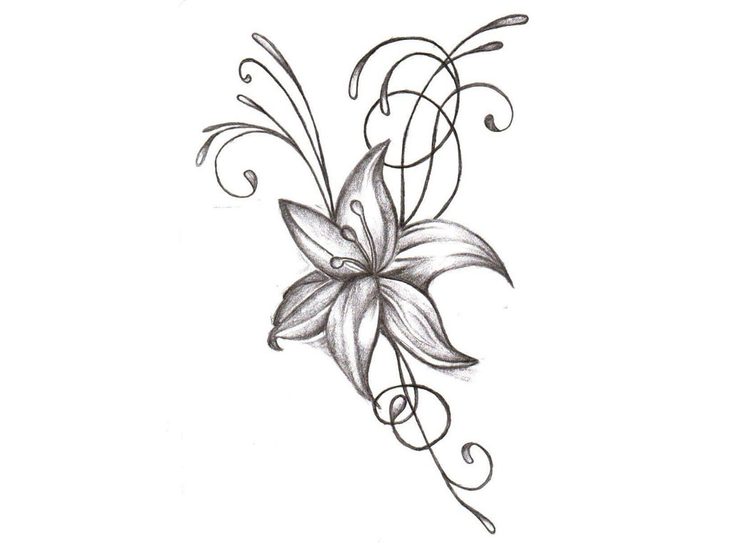 1024x768 Drawing Designs Of Flowers Drawings Of Gladiolus Flowers Drawing - Gladiolus Flower Sketch