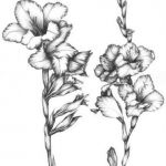 150x150 Gladiolus Sketch Awesome 215 Best Flower Sketch Images Images On - Gladiolus Sketch
