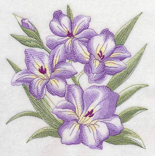 529x530 Machine Embroidery Designs - Gladiolus Sketch