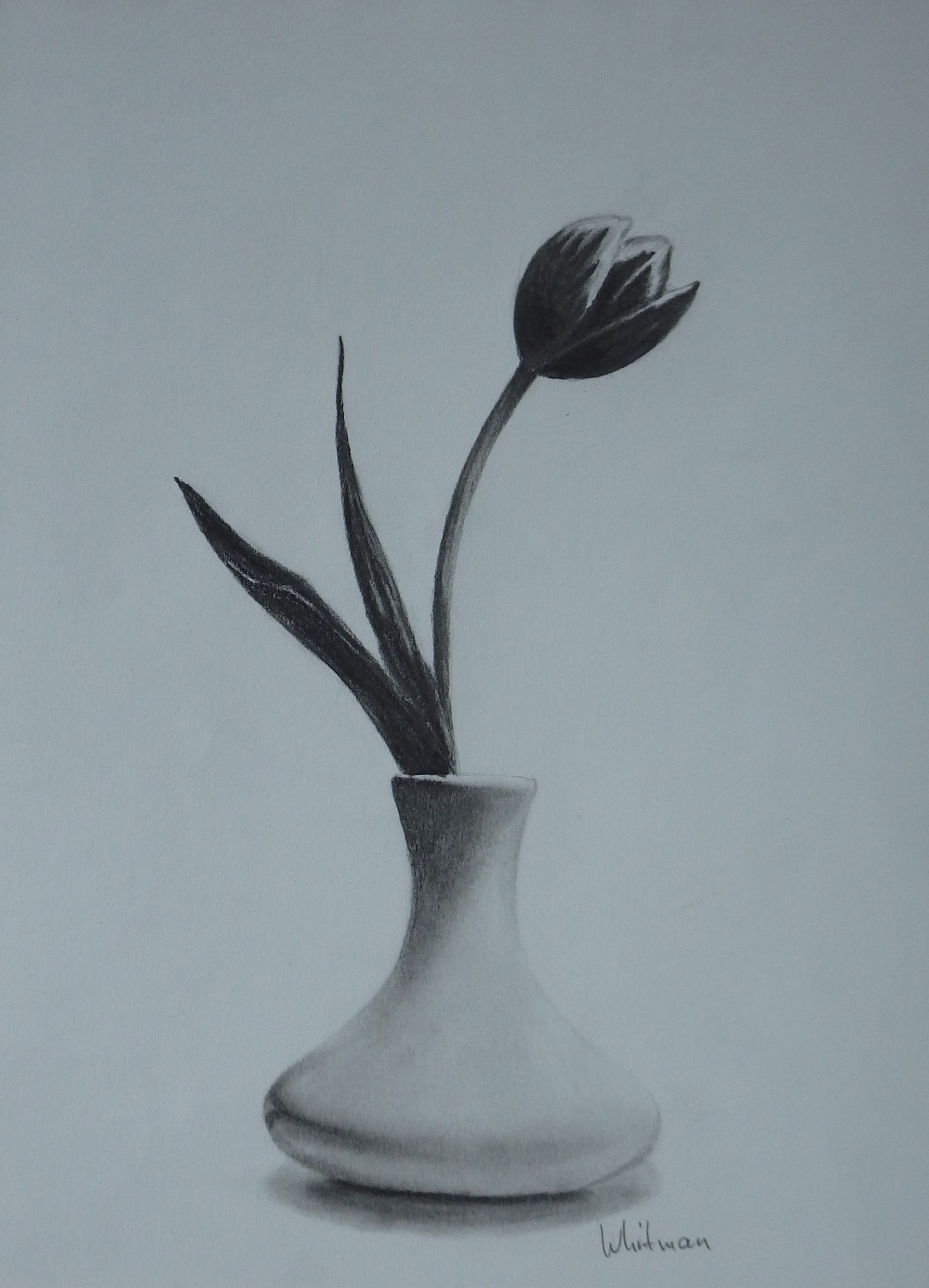 1929x2673 Some Images Of Still Life Easy Pencil Sketch Of Flower Vase Easy - Glass Pencil Sketch