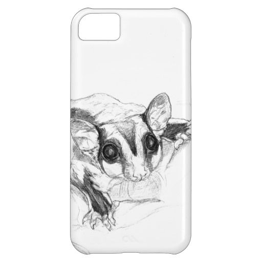 512x512 Sugar Glider Drawing, Sketch Iphone 5c Case Gadgets - Glider Sketch