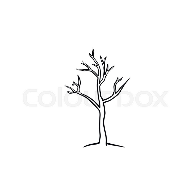 800x800 Dry Tree Hand Drawn Outline Doodle Icon. Global Warming Vector - Global Sketch