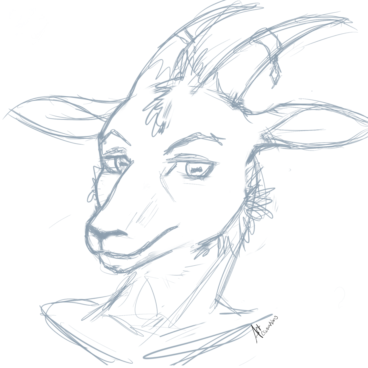 Goat Face Sketch at PaintingValley.com | Explore collection of Goat ...